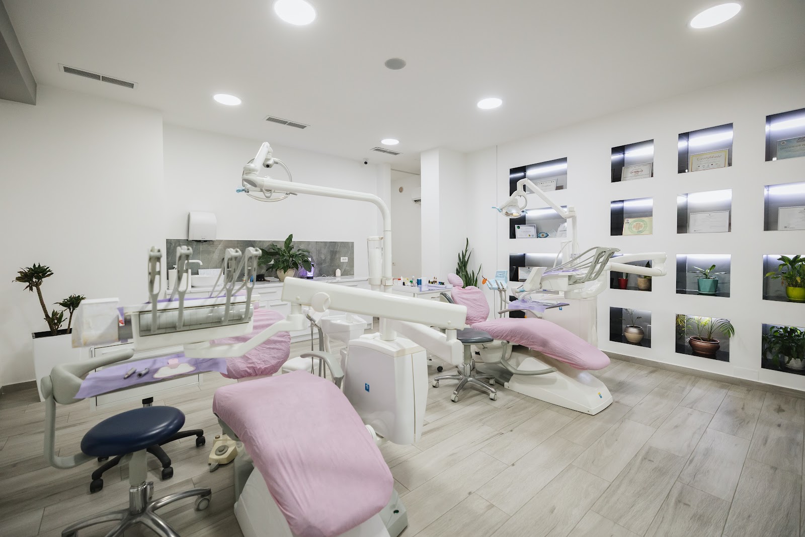 Lotus Dental Clinic