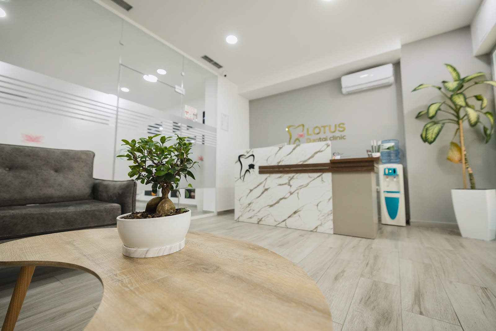Lotus Dental Clinic