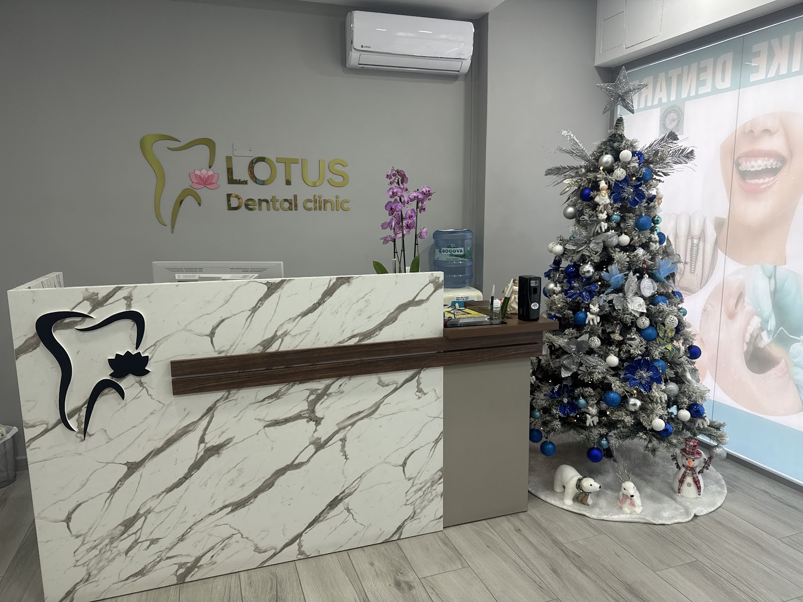 Lotus Dental Clinic