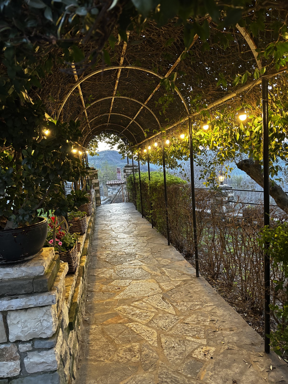Kodra e Gjelbër Agrotourism (Green Hill)