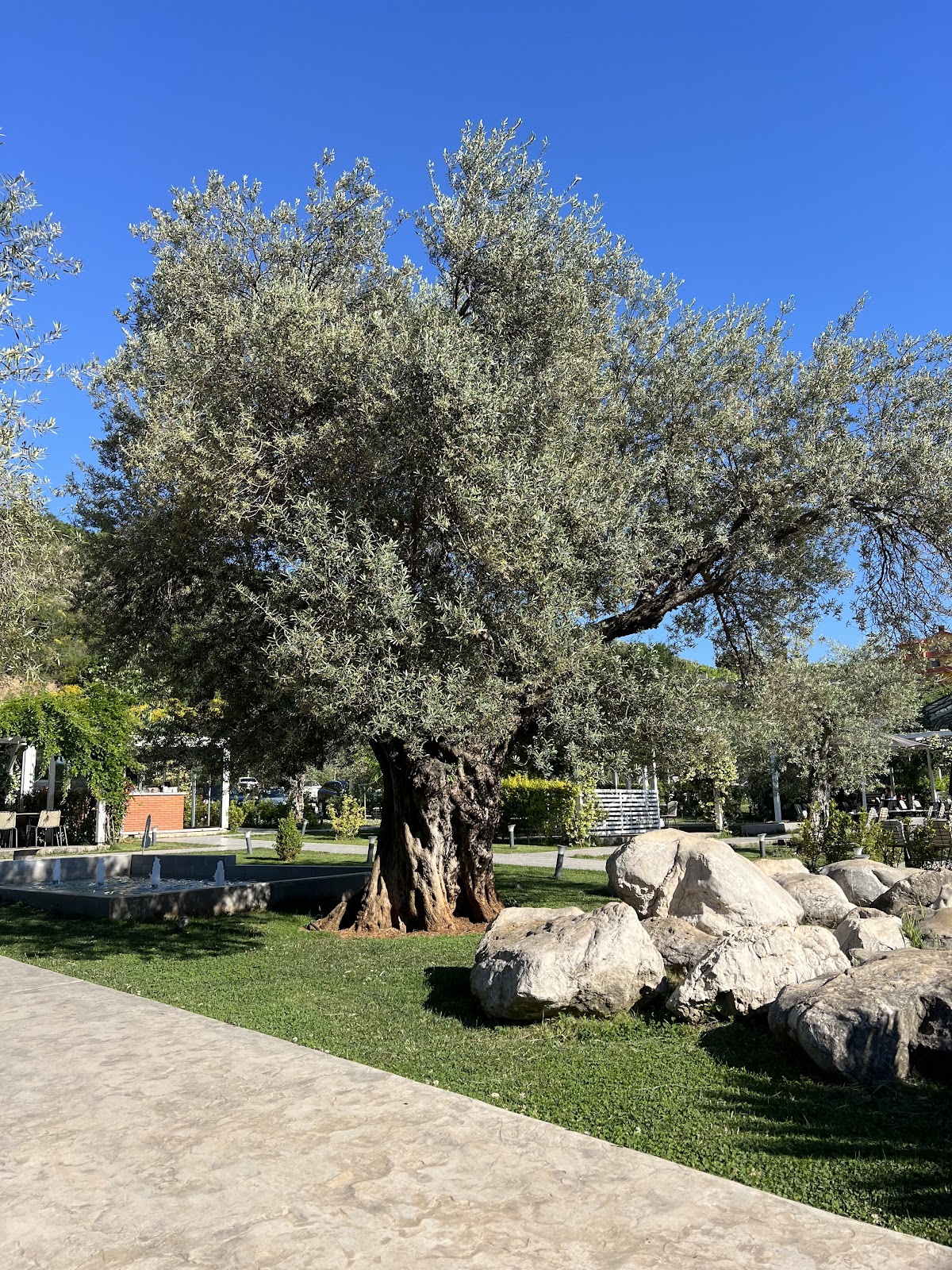 Agroturizëm Ndryshe