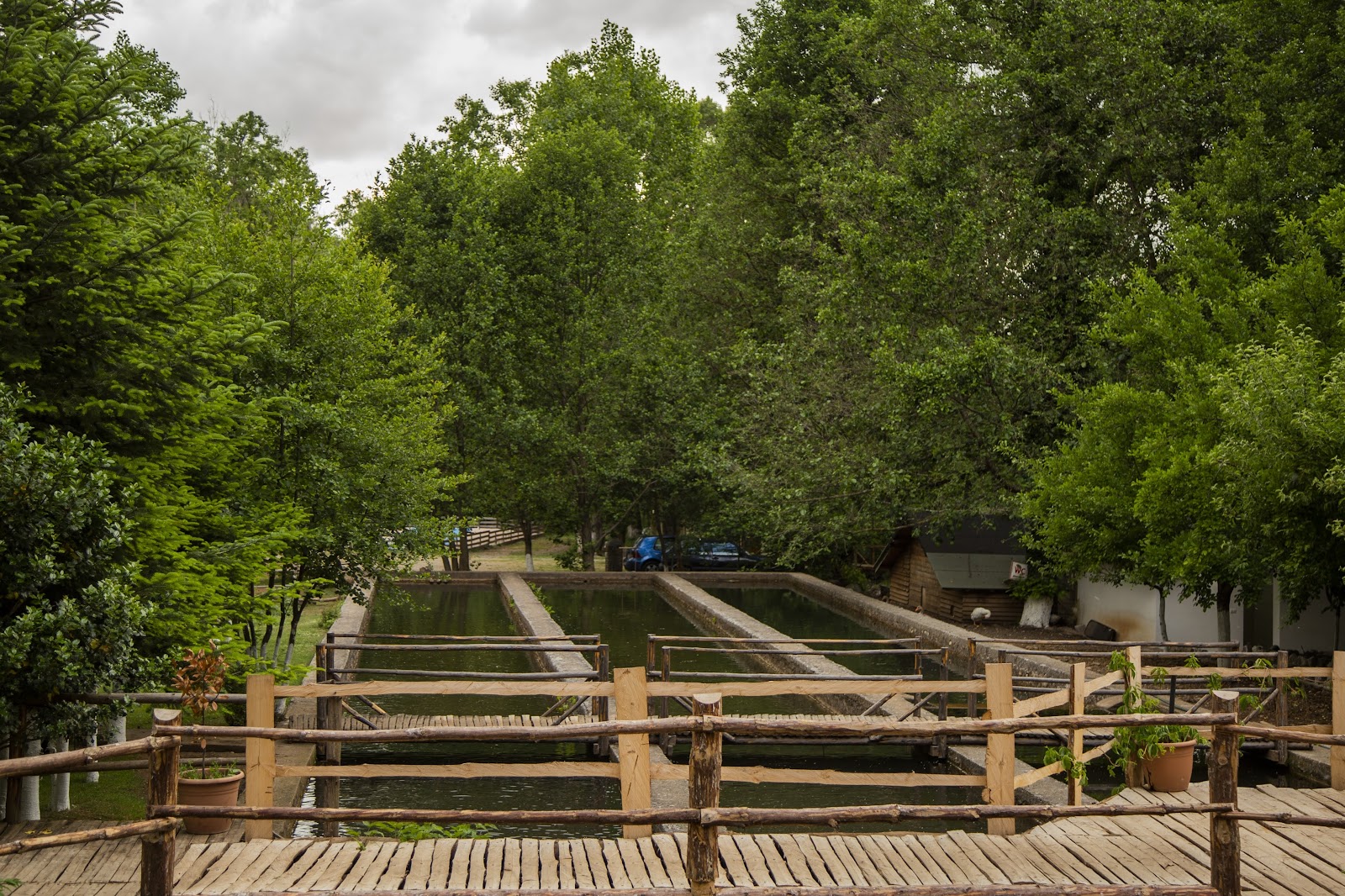 Farma Sotira - Agroturizem-Farm Stay &Camping