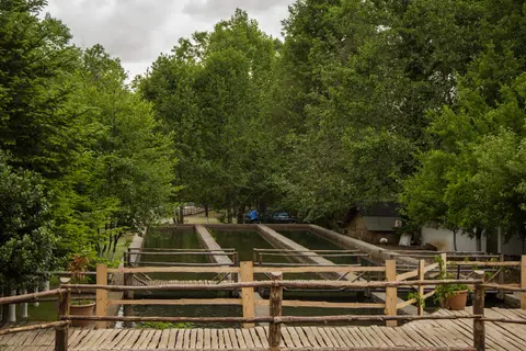 Farma Sotira - Agroturizem-Farm Stay &Camping