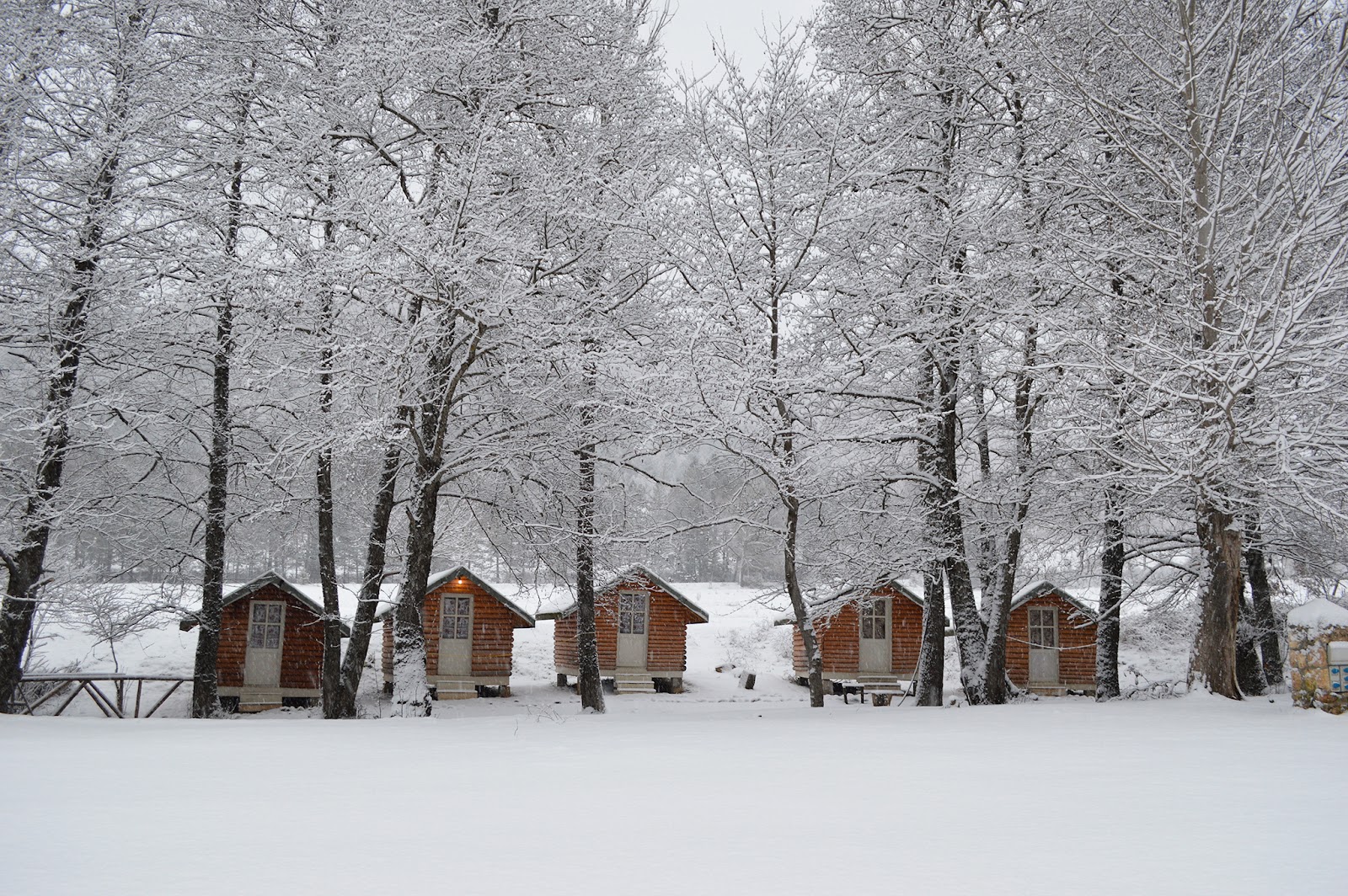 Farma Sotira - Agroturizem-Farm Stay &Camping