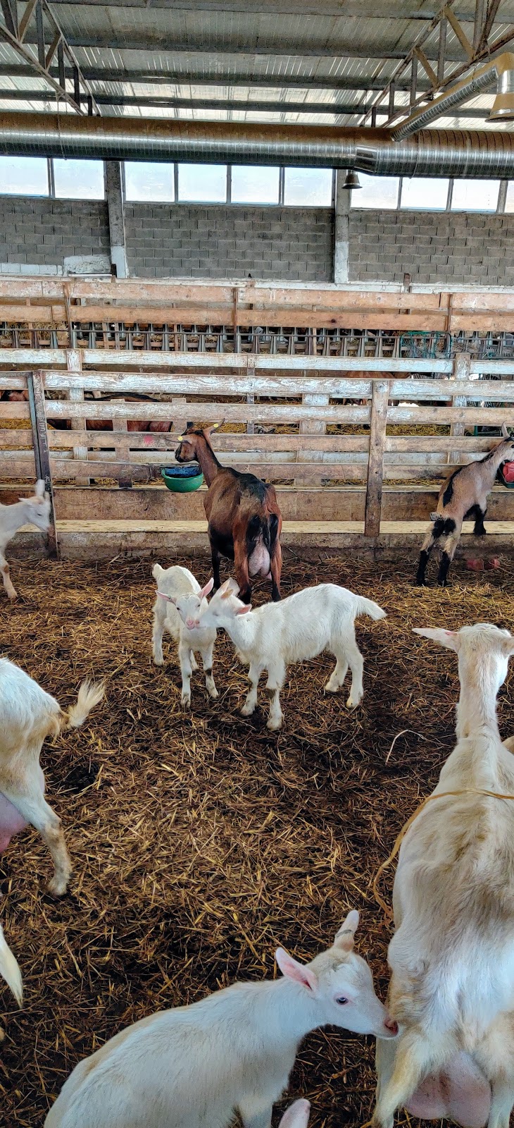 Bonum Agroturizëm
