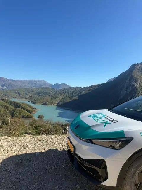 Punime Elektrike vlore