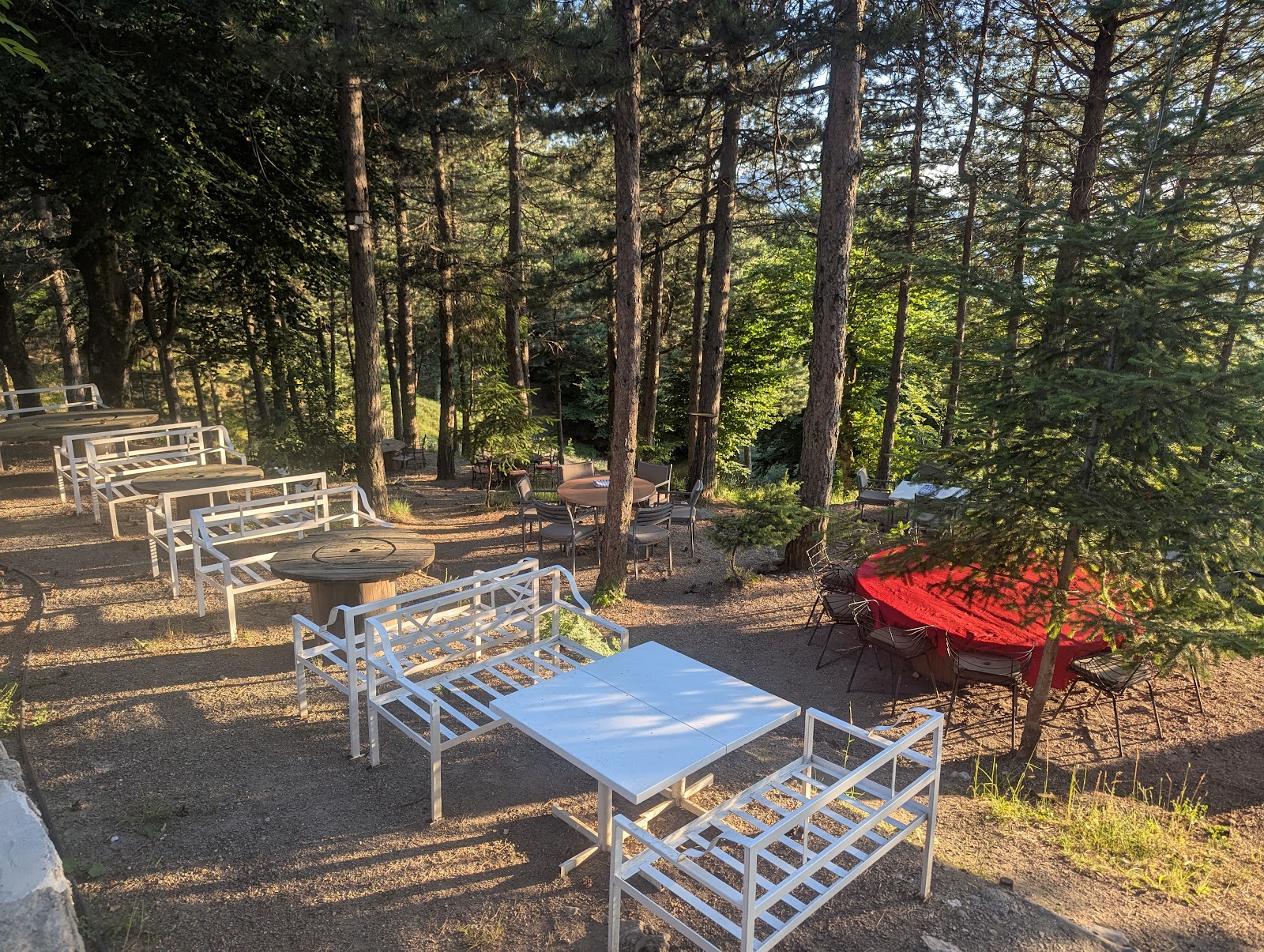 Hani Qafë Murrizë