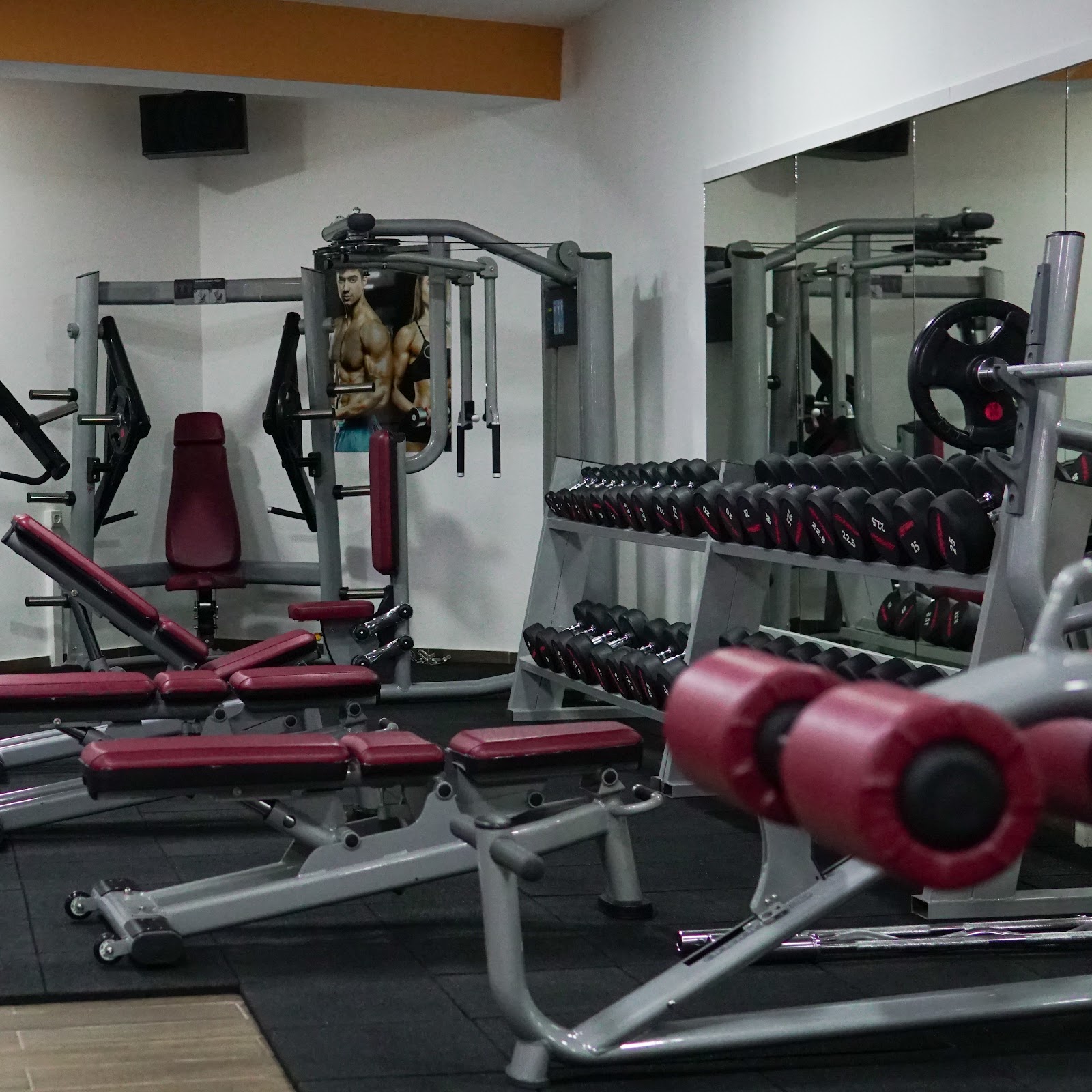 Life Fitness Albania - Palester