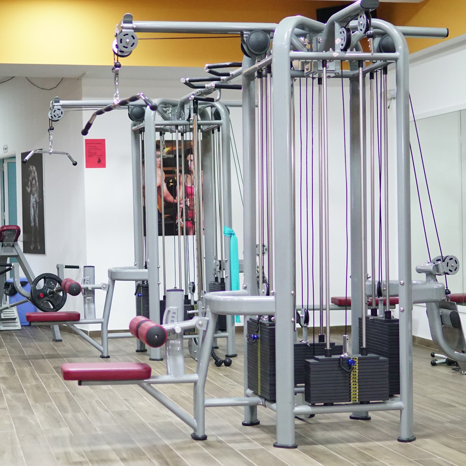 Life Fitness Albania - Palester