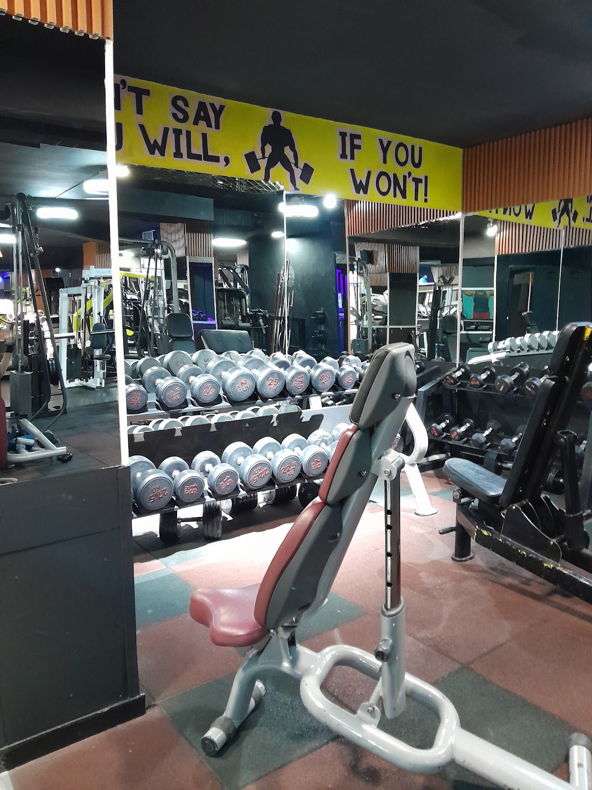 Fitness Passion Erol