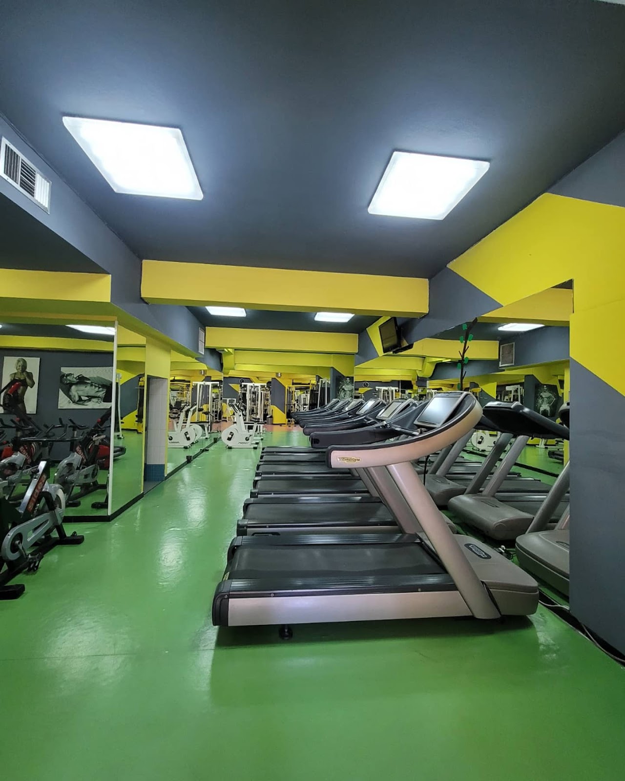 Palestra Friends Fitness