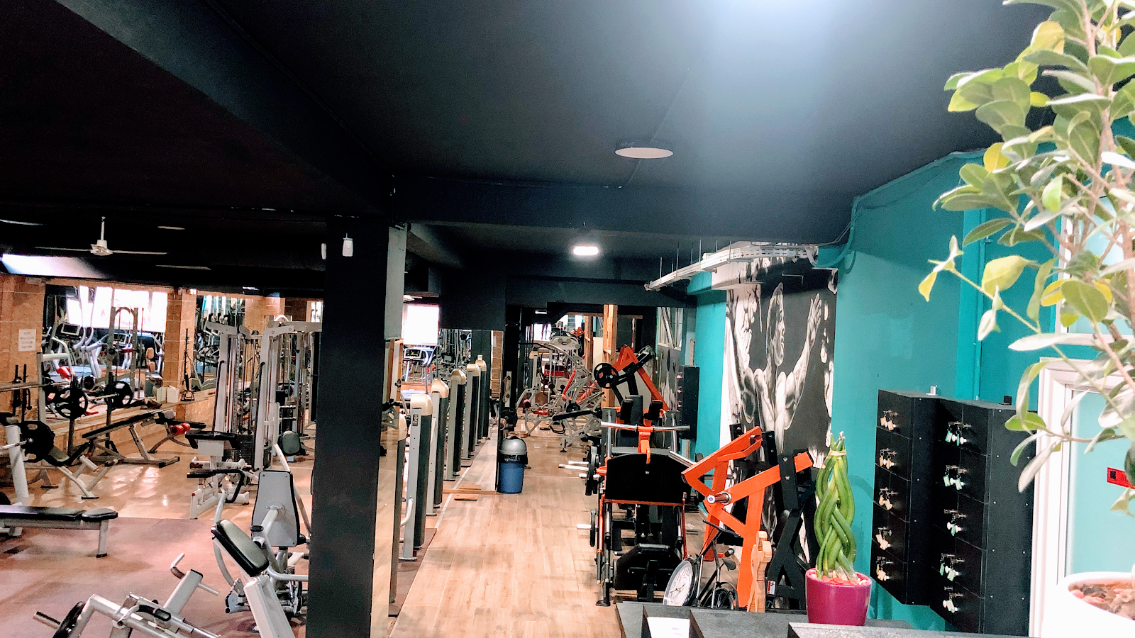 Fitnes Gym Elusi