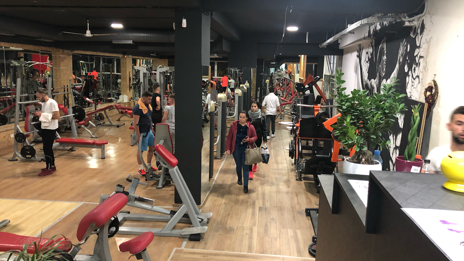 Fitnes Gym Elusi