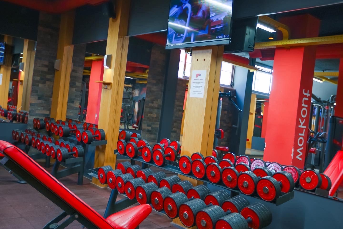 Premium Fitness