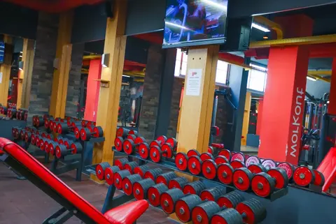 Premium Fitness