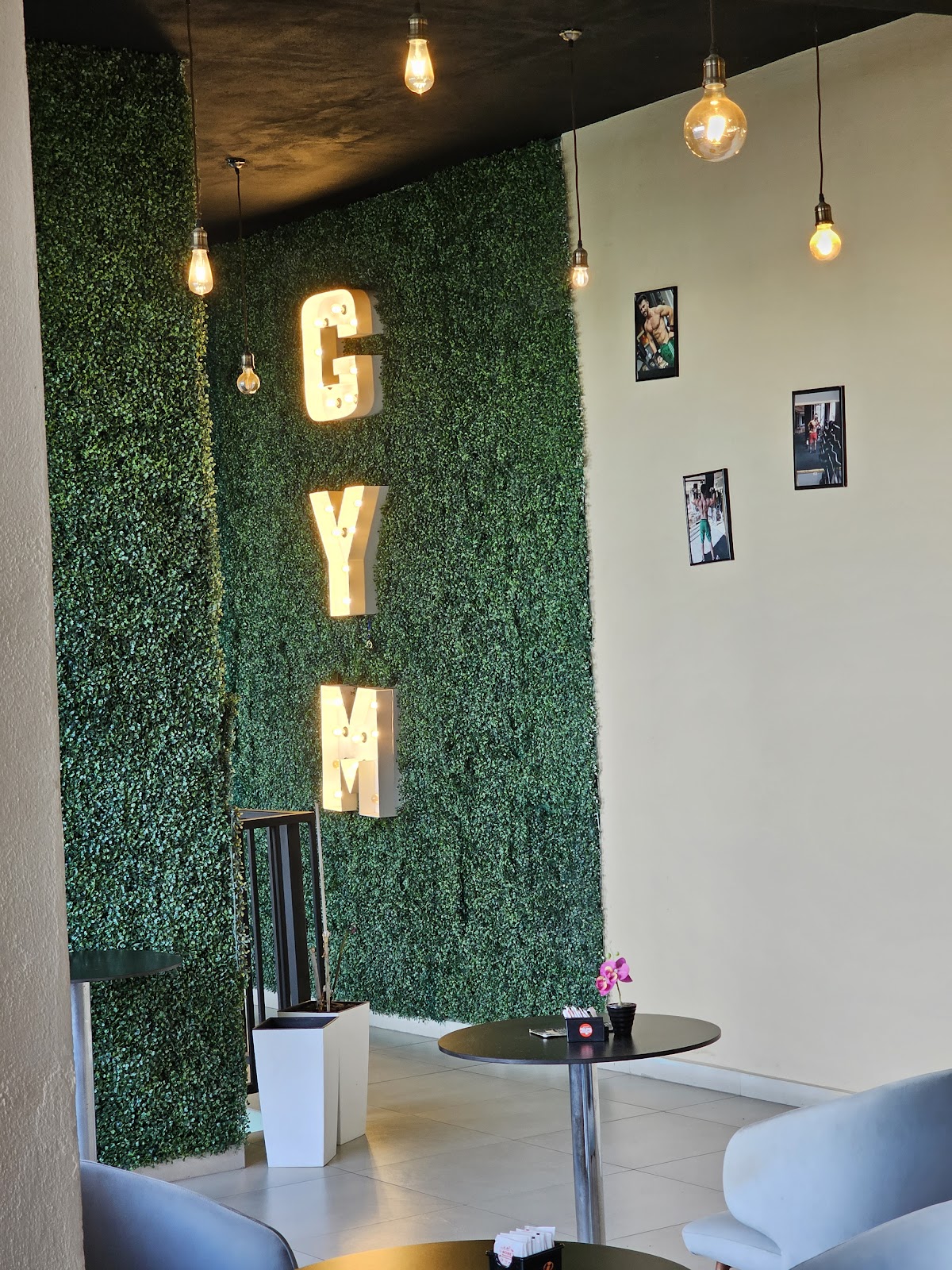 Martino's Gym