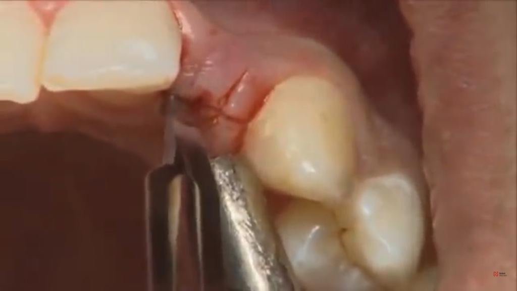 Darli Dental