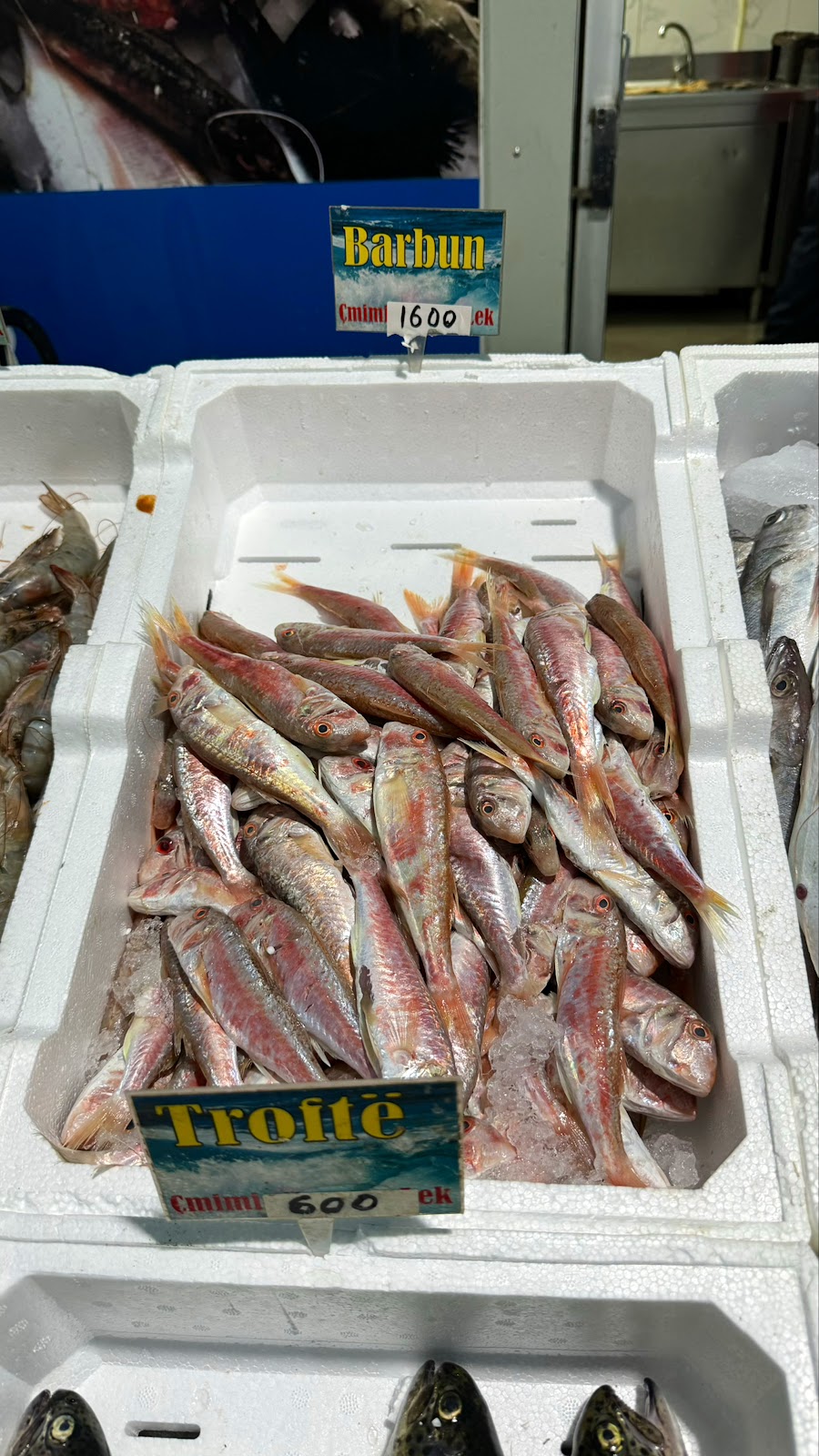 Peshk Porto
