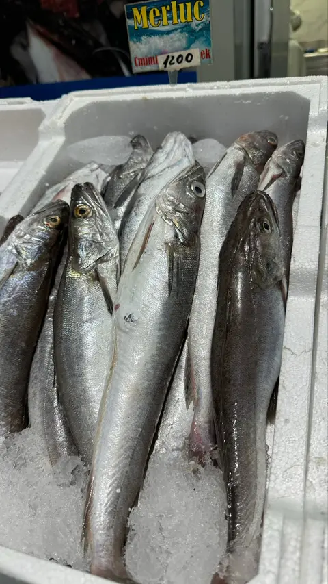 Peshk Porto