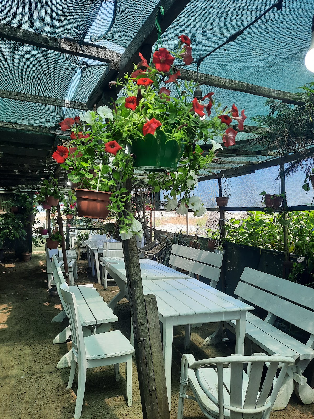 Peshk i freskët XENI