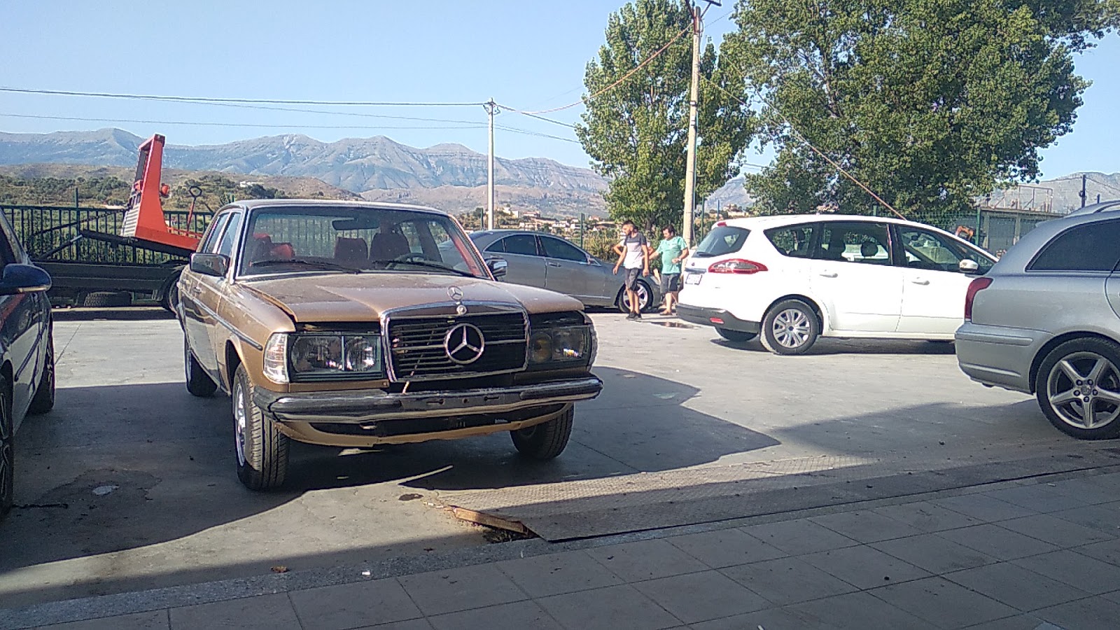 Servis Rigelsi