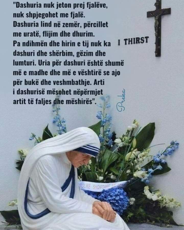 Denisa shpk