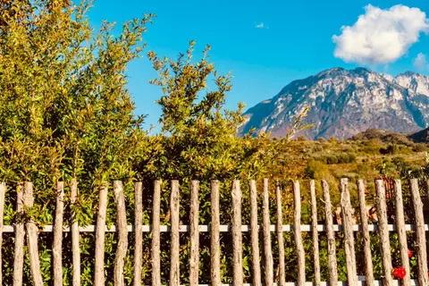 Alpeta Agritourism & Winery - Roshnik