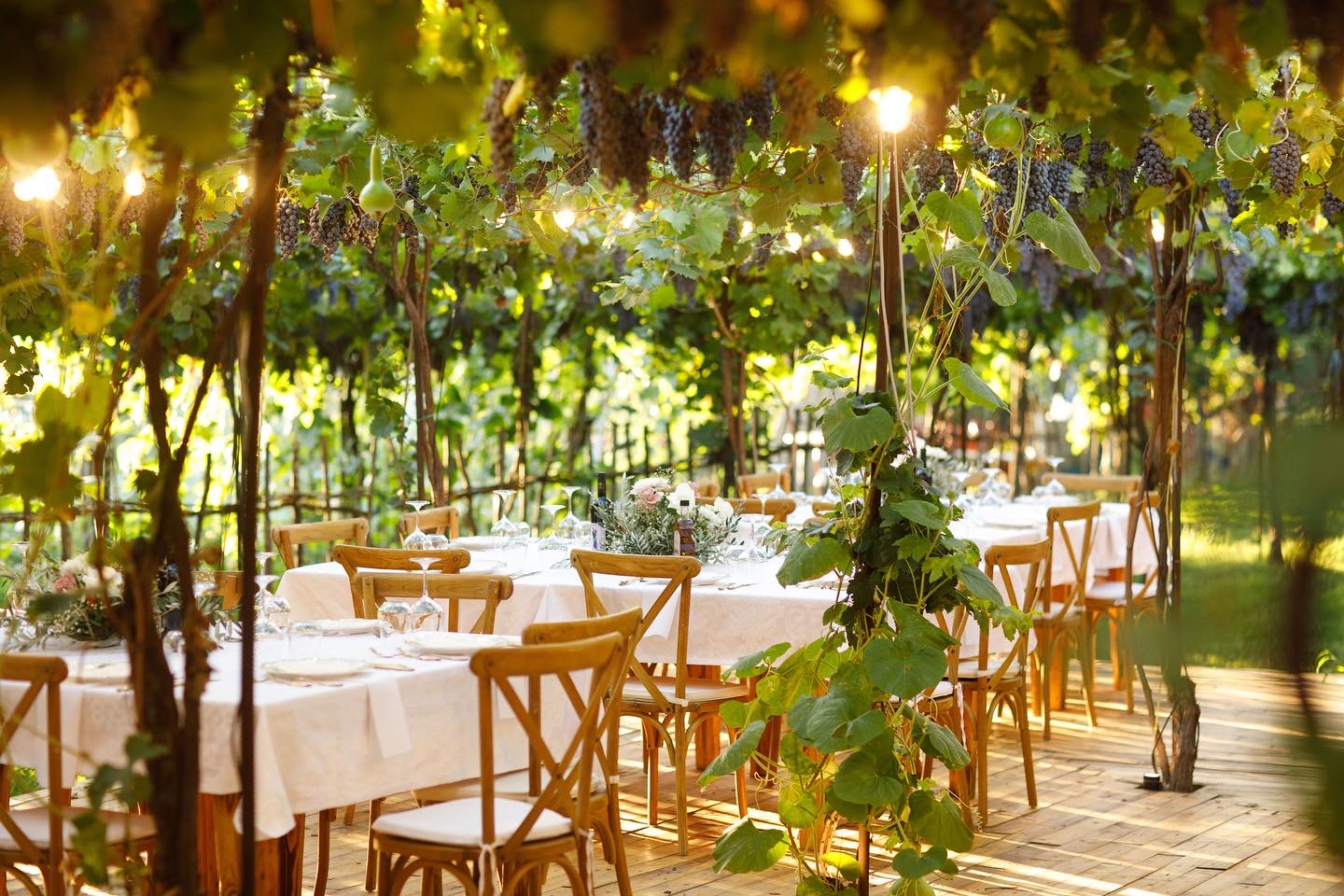 Alpeta Agritourism & Winery - Roshnik