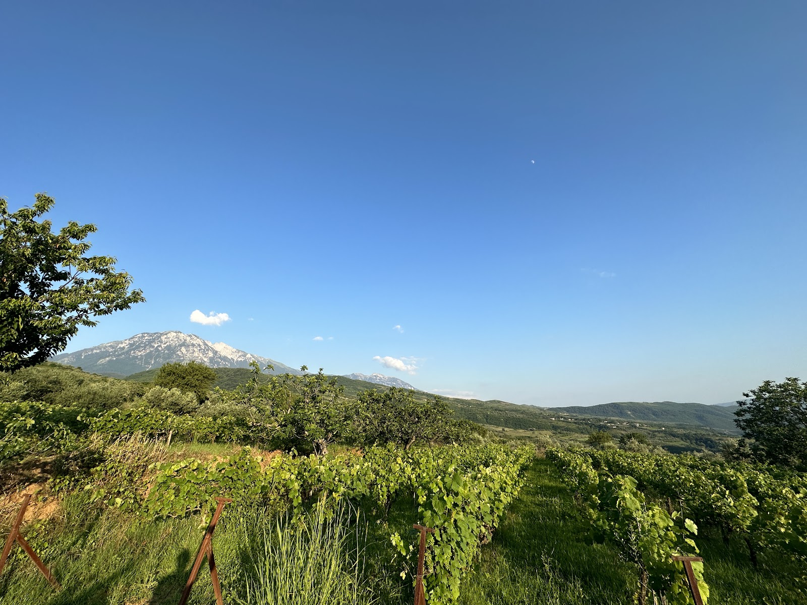 Alpeta Agritourism & Winery - Roshnik