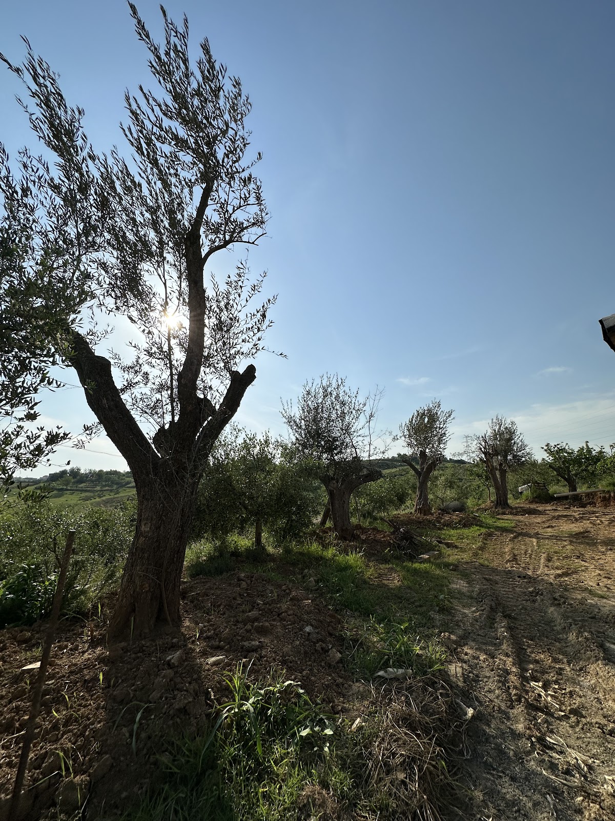 Ferma Çollaku Agroturizëm