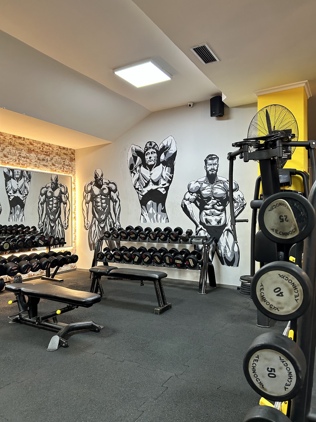 Muscle & Fitness