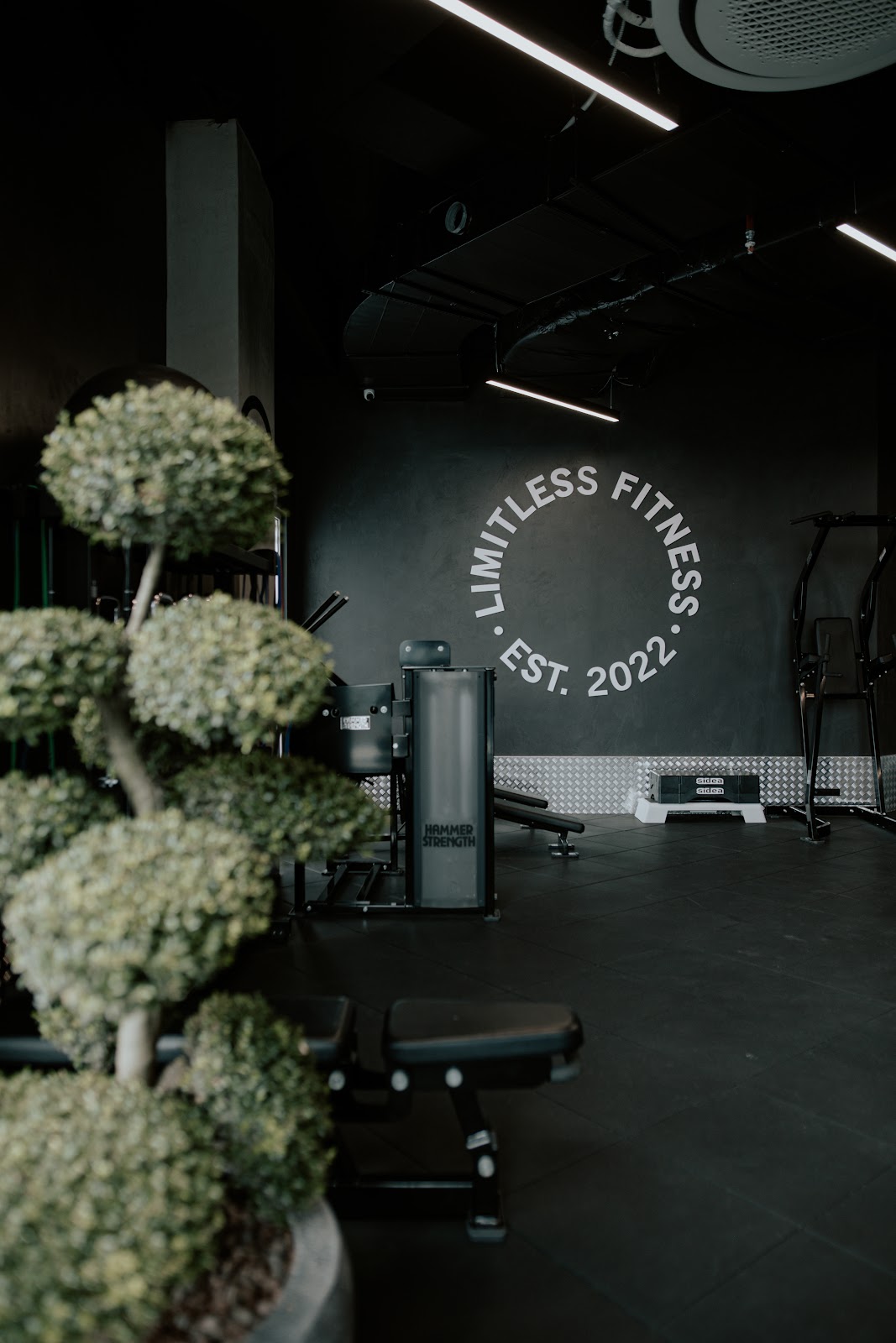 Limitless Fitness Tirana