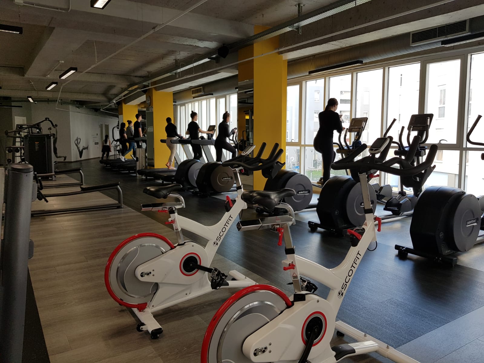 Magnet Gym & Fit
