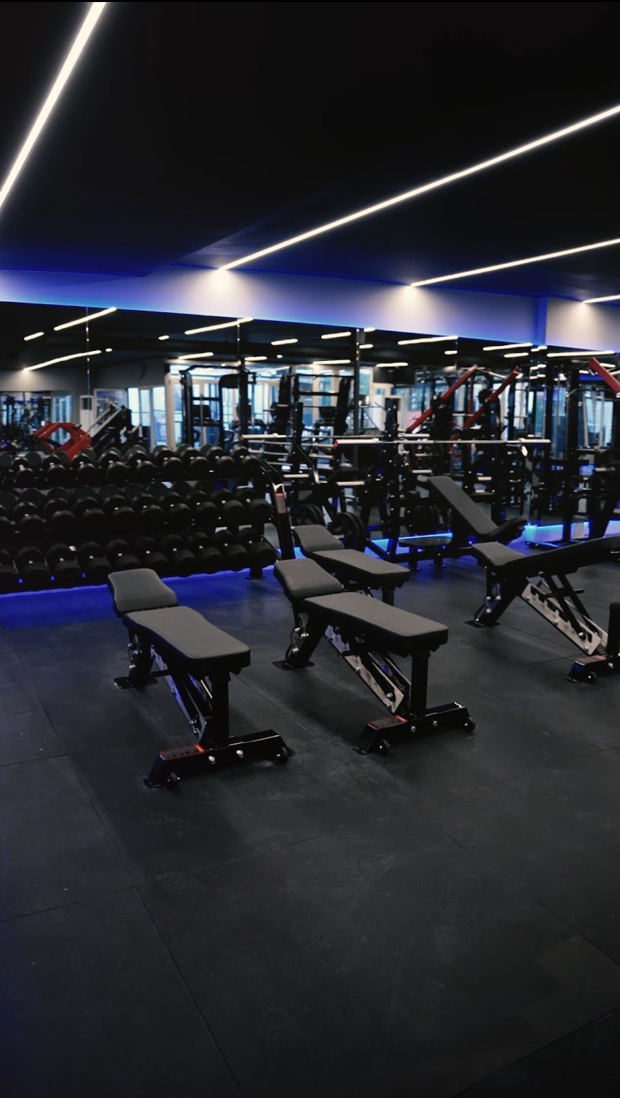 Kinetic Gym