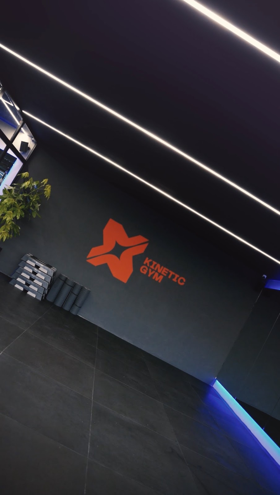 Kinetic Gym