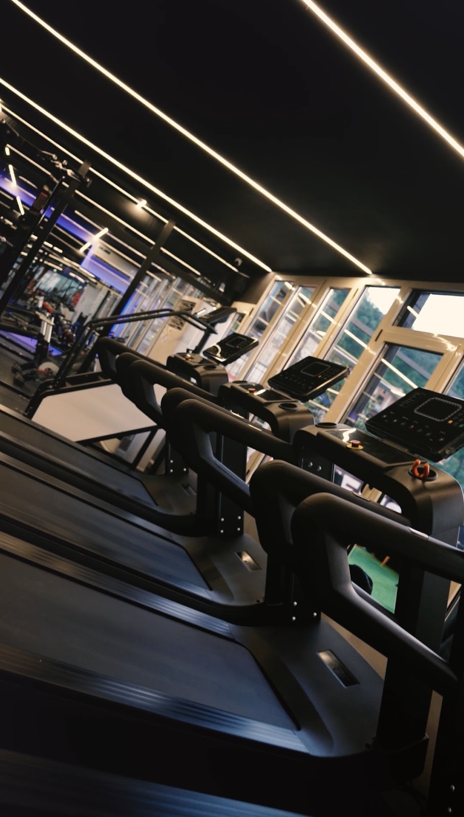Kinetic Gym