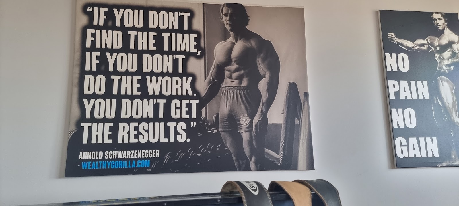 Saeli Gym