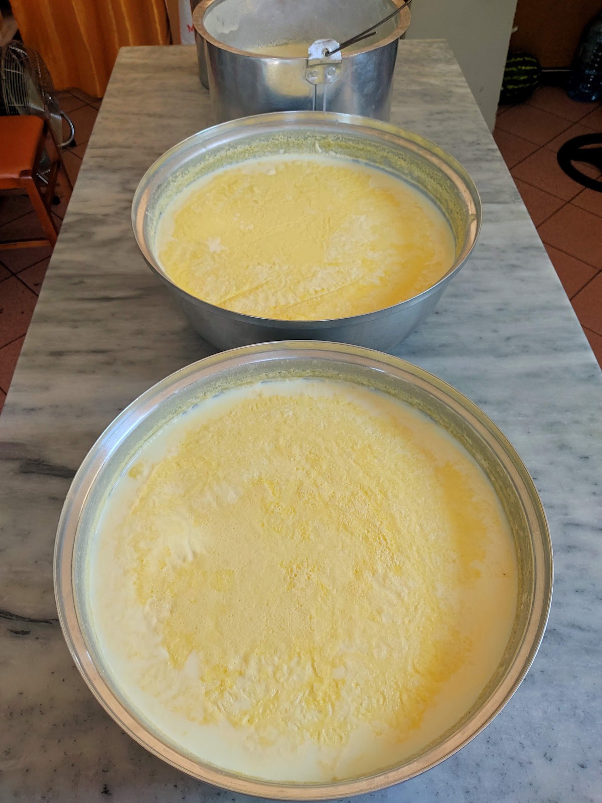 Pastiçeri "Allkanjari", Akullore (Pastry Shop, Ice Cream)