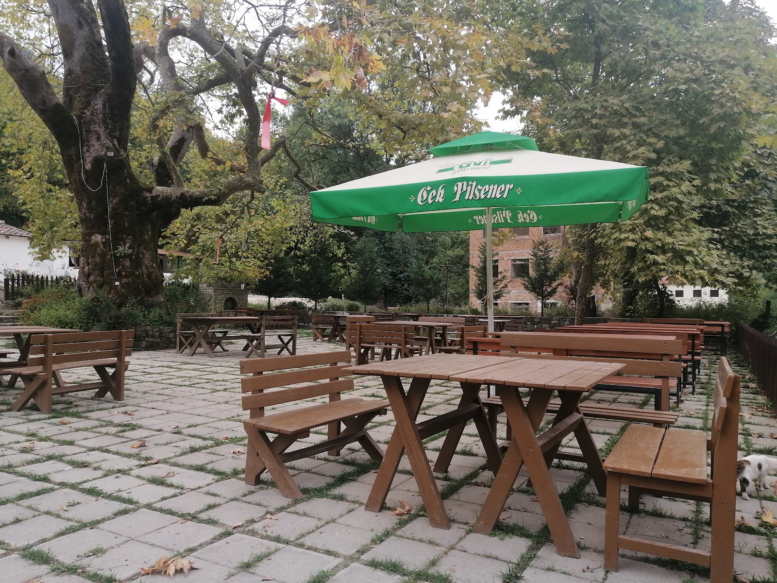 "Rrapi" Traditional Albanian Restaurant