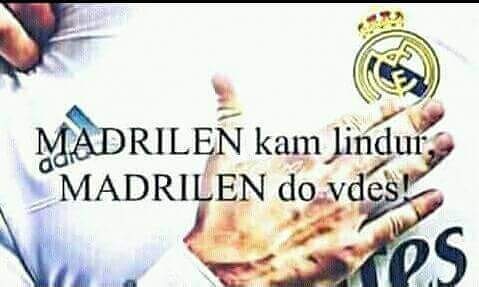 Byrektore
