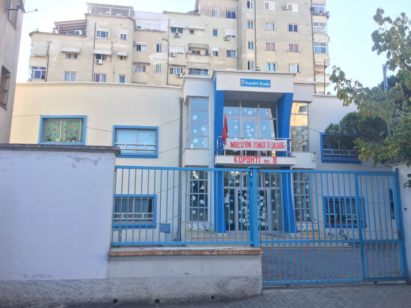 Kopshti Nr. 8