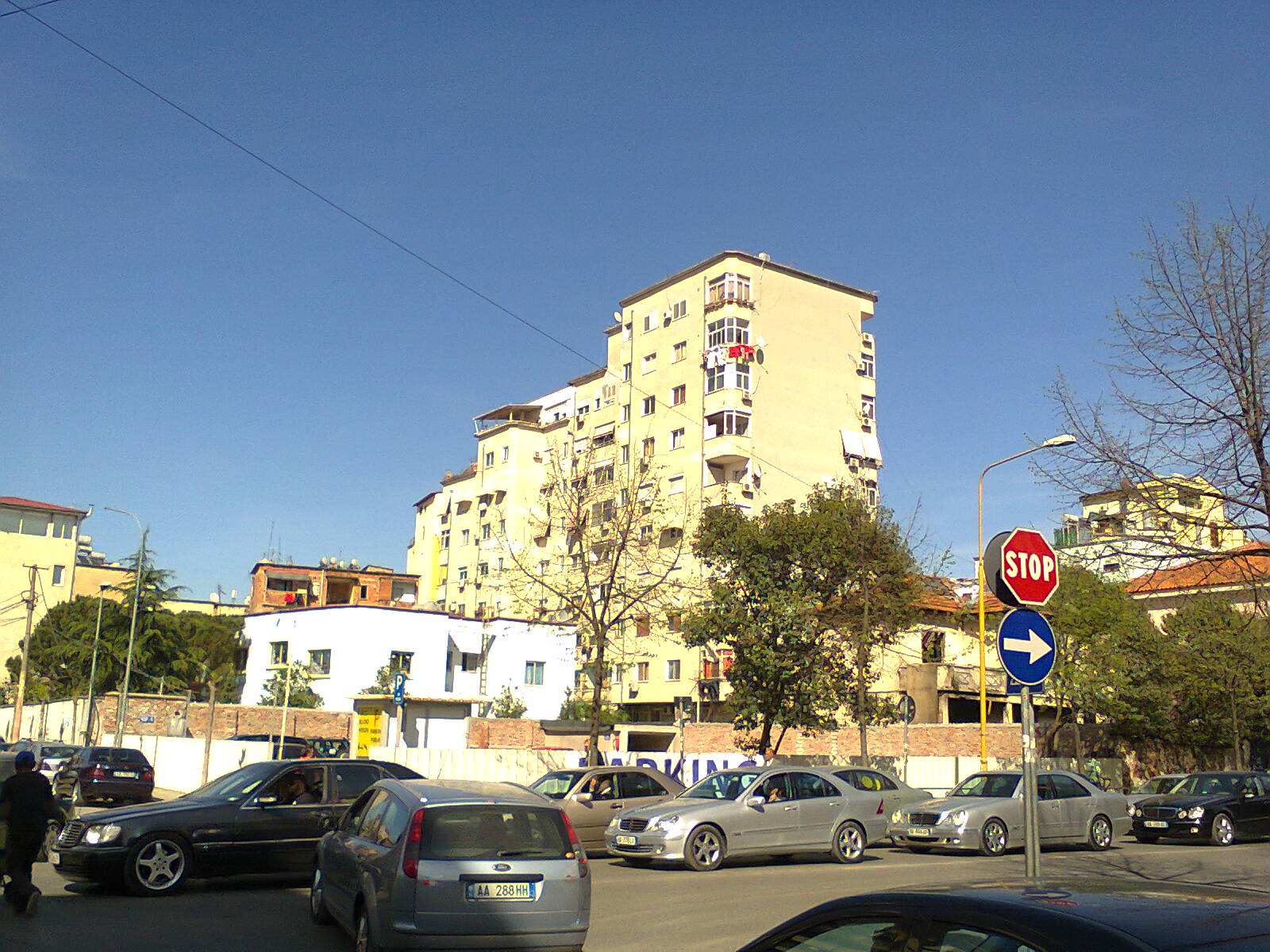 Kopshti Nr. 8