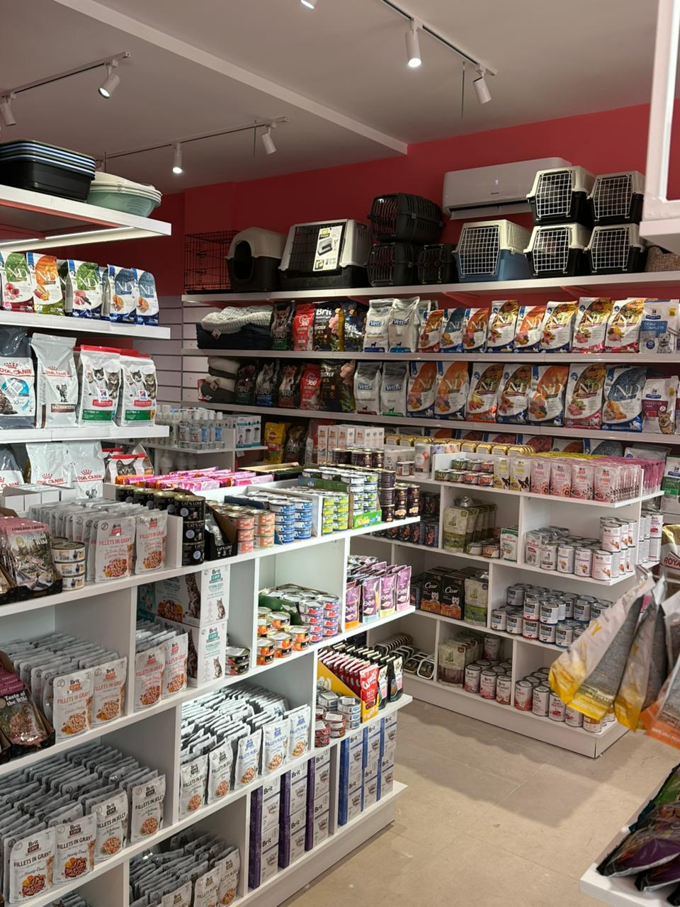 PetVille Shkodër – Pet shop | Dyqan për Kafshë