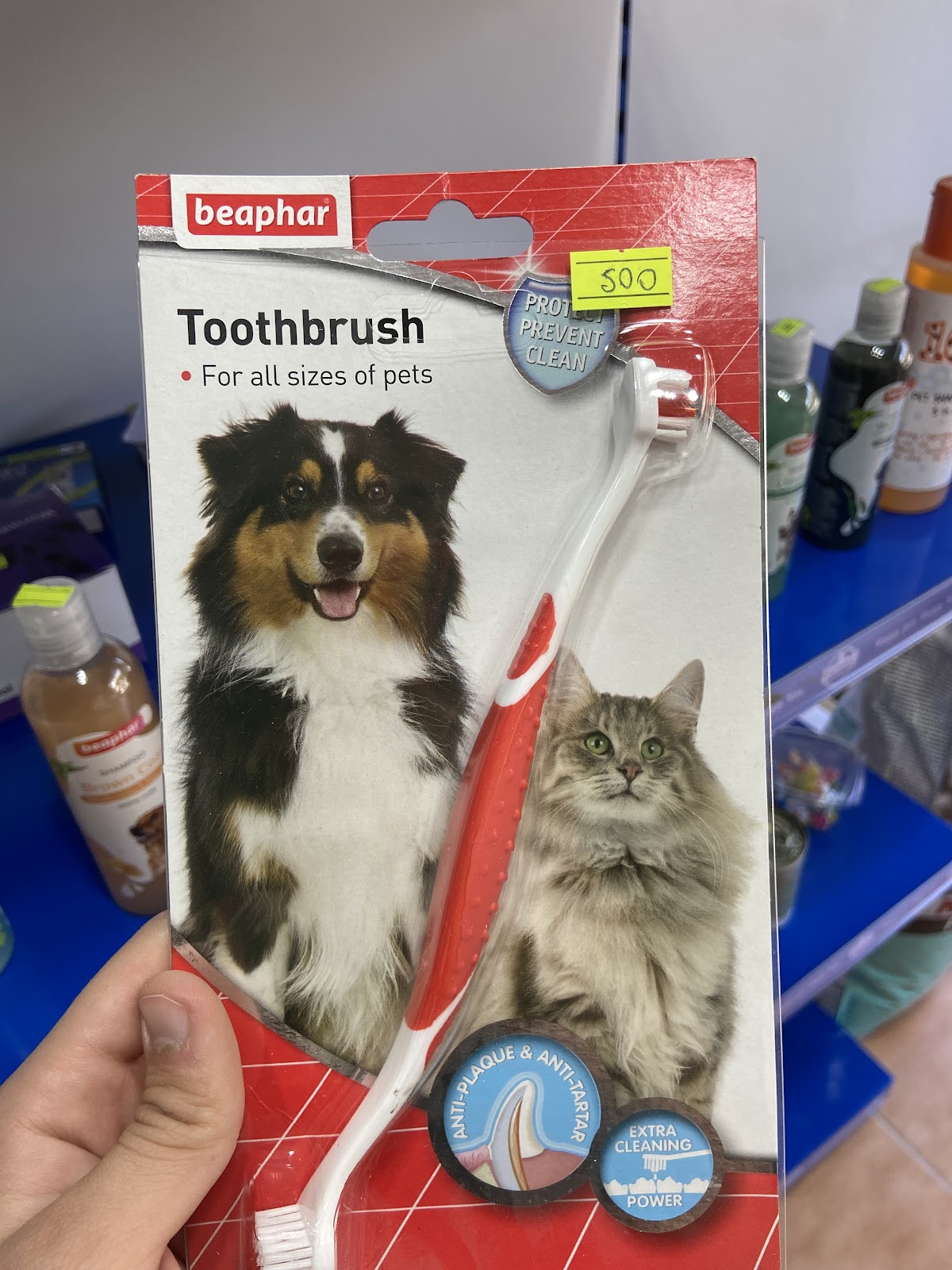 Pet Shop Kevi