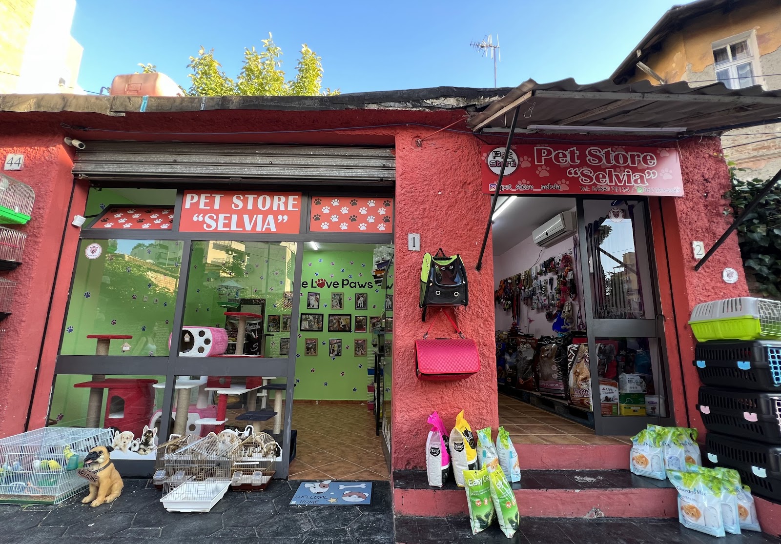 Pet Store Selvia