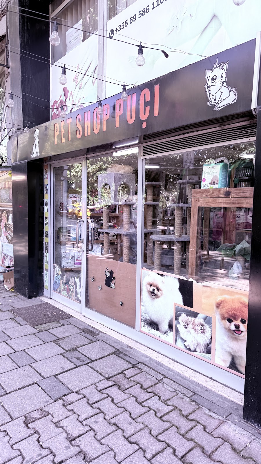 Pet Shop Puci