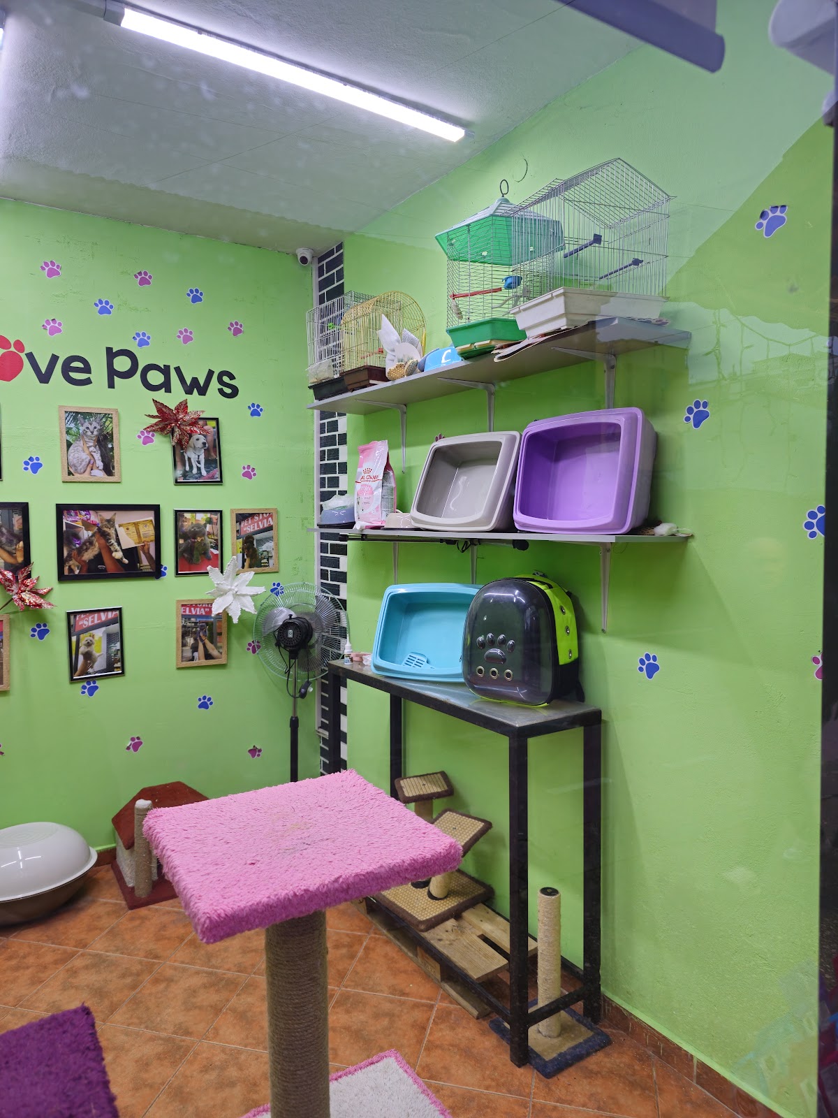 Pet Store Selvia