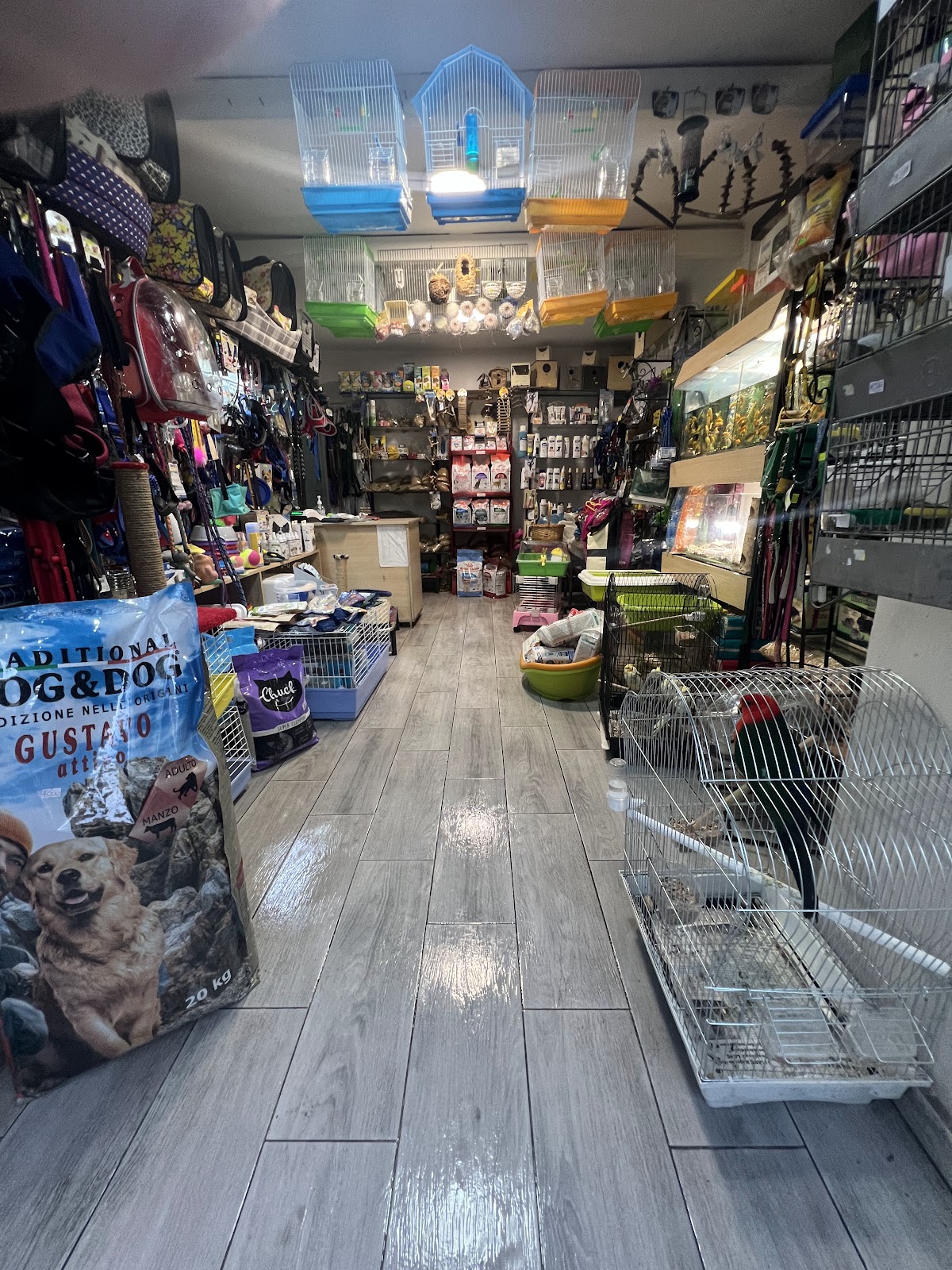 Pet Shop Kristi