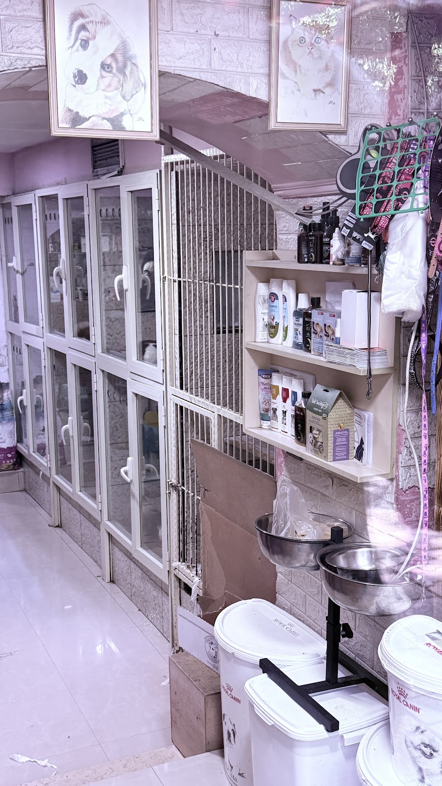 Pet Shop Puci