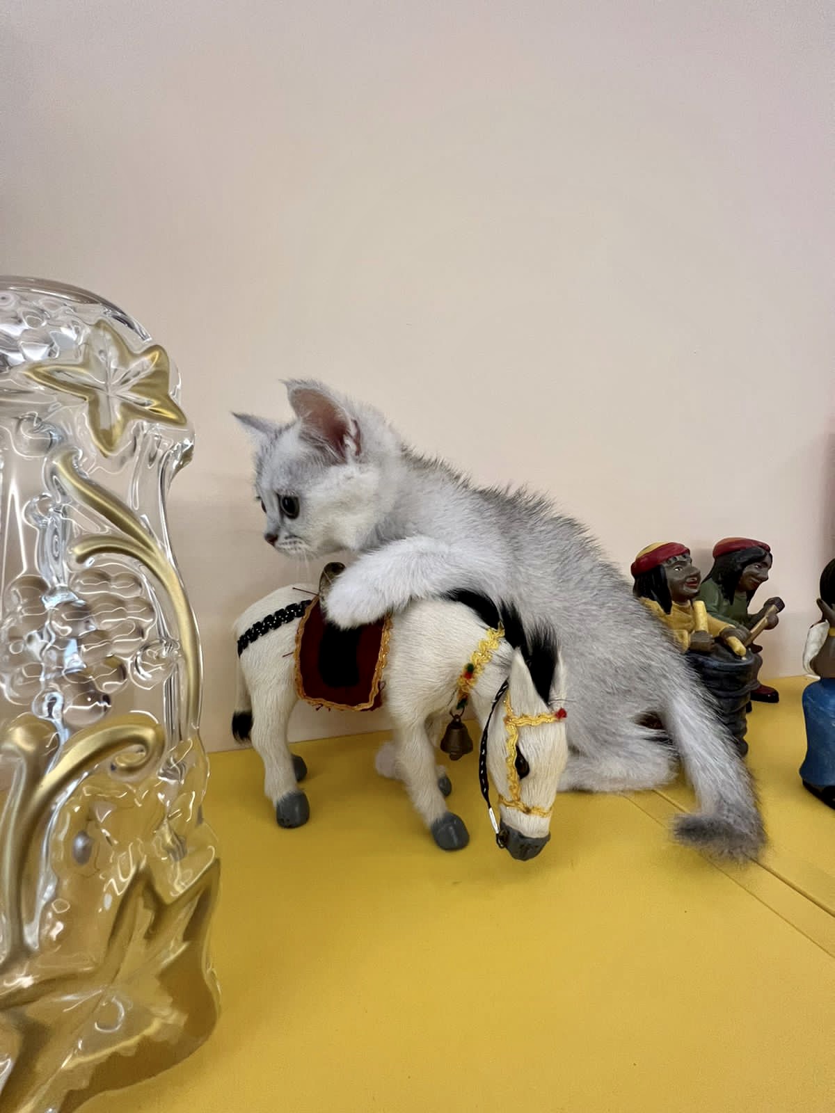 Pet Shop Kristi